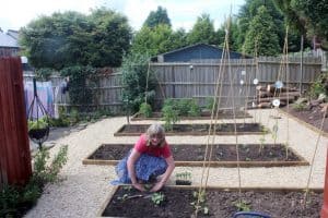 Vanda planting vegetables