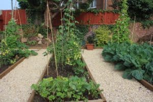 Garden in Cinderford