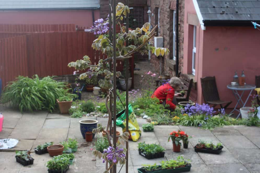 Gardening in the forest of dean
