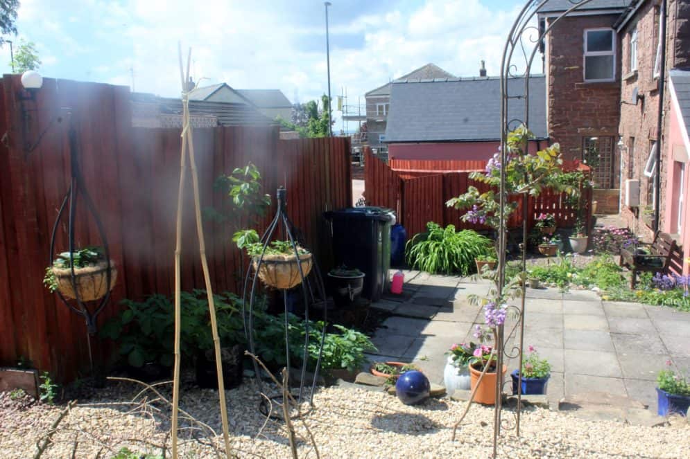 No need to regiment the garden
