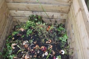 compost