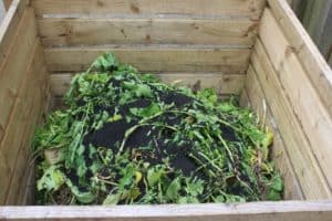 compost heap