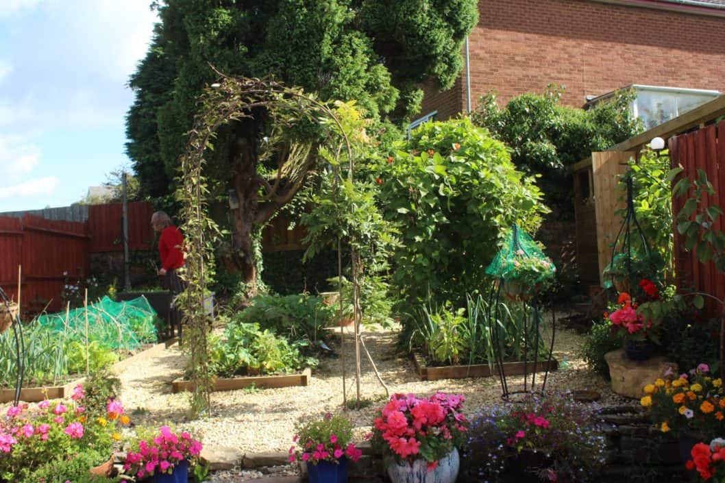 Garden Tidy Up