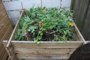 Compost bin full