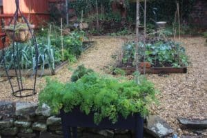 gardening