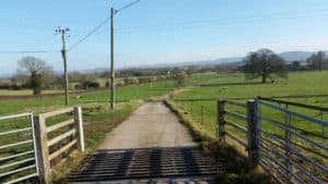 forest of dean