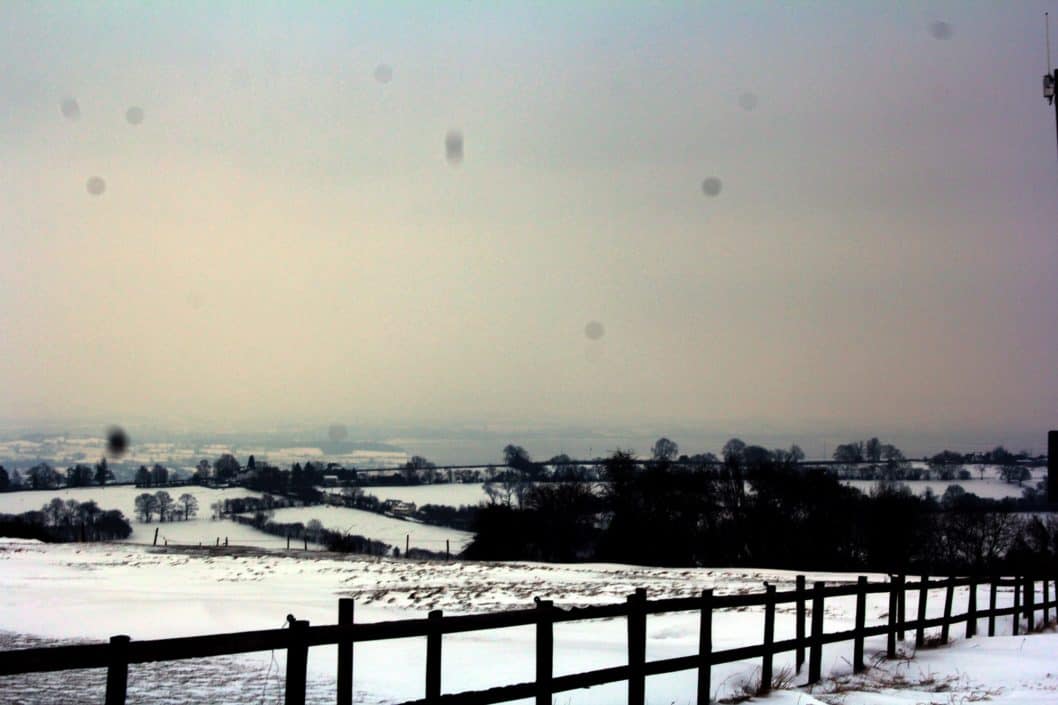 Snow in the Forest of Dean