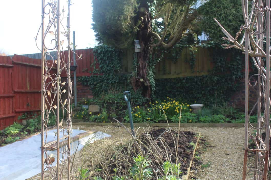 The vegetable Garden