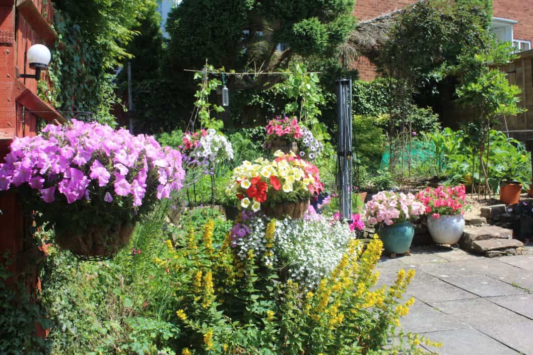 The Garden