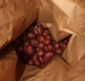 potatoes
