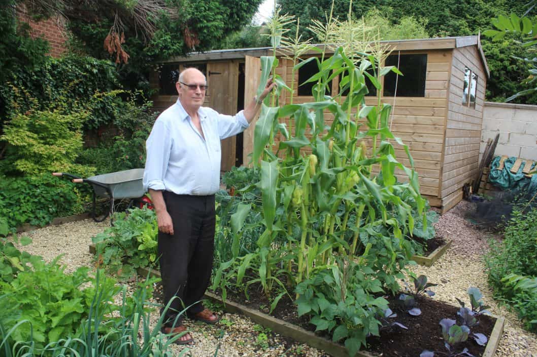 Gardening in the forest of dean