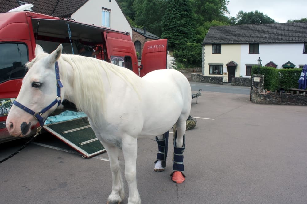 Forest of Dean Reviews