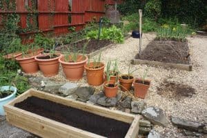 Vegetables in containers