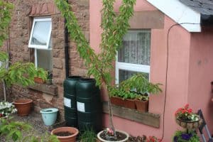 Conserving water for your garden