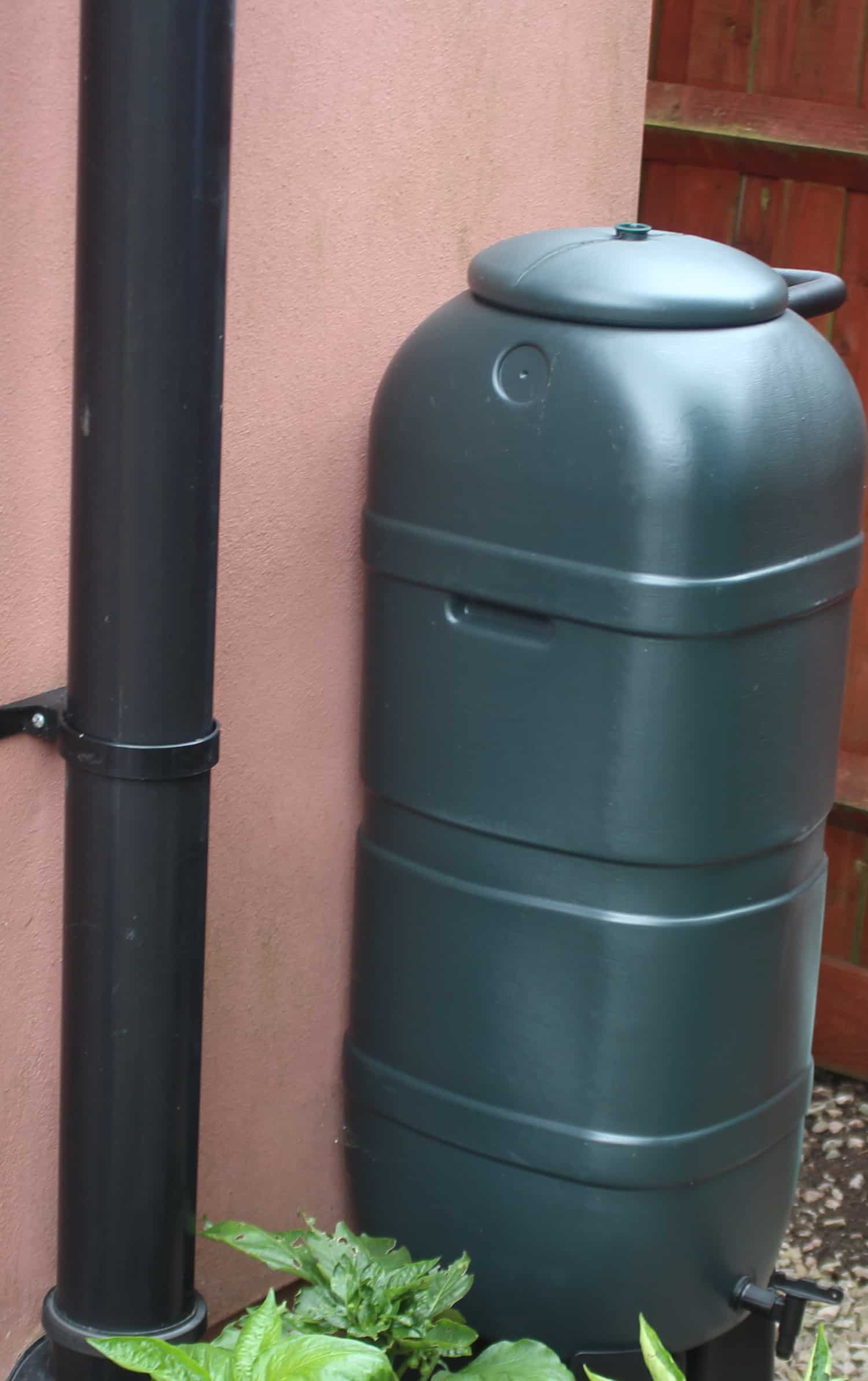Water Butt Conserving water for your garden