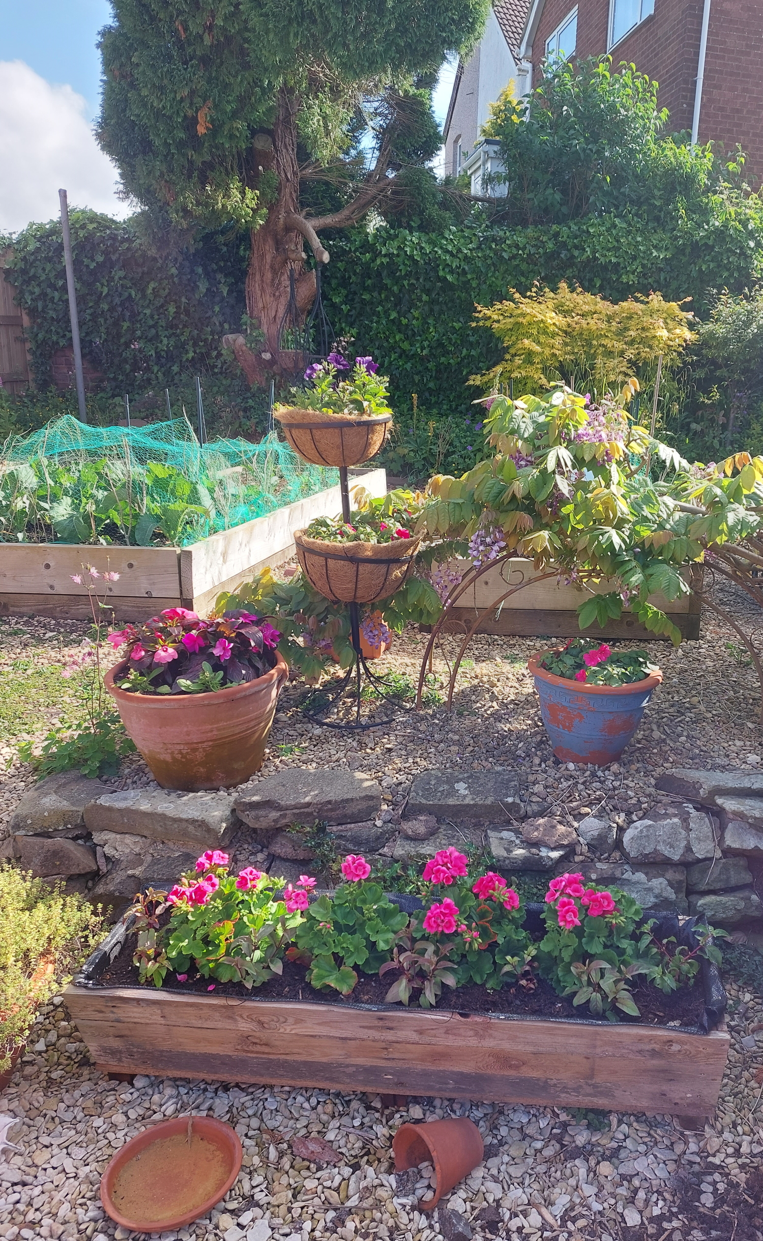 The joy of Gardening