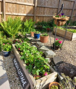 The joy of Gardening