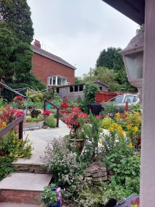 The garden this month