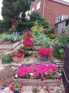 The garden this month