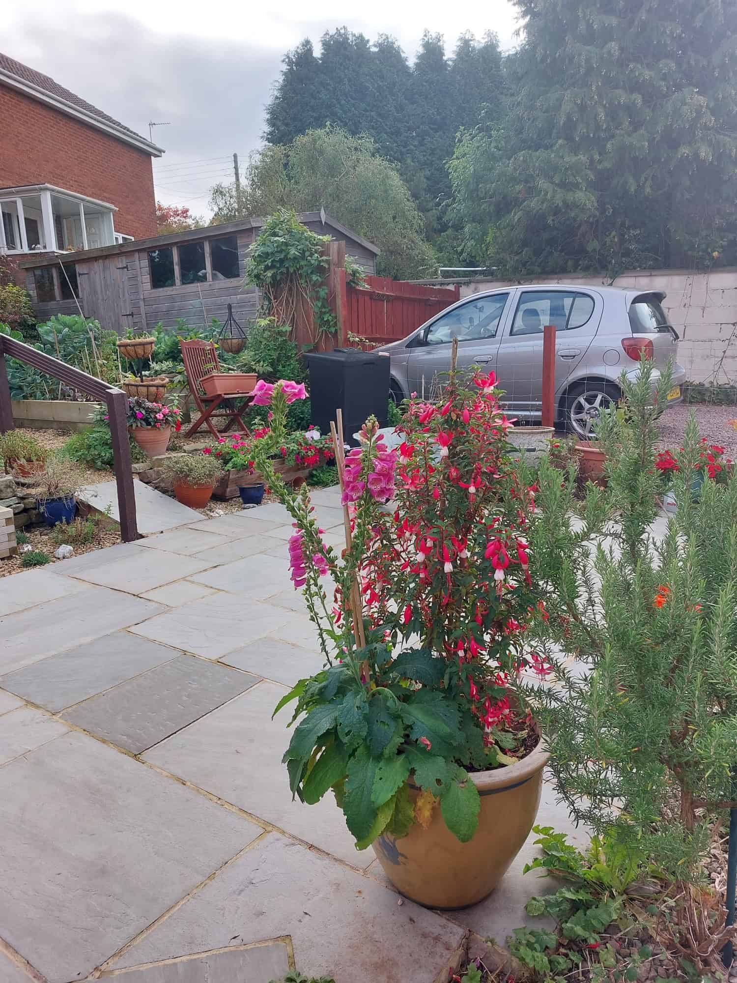 garden in autumn 2022