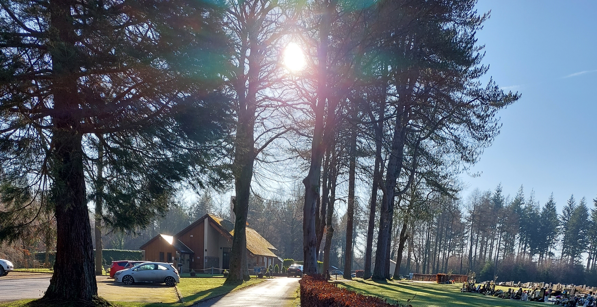 Life in the forest of dean