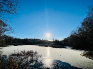 What's On in the Forest of Dean
