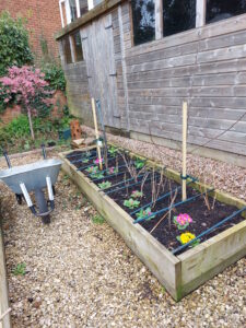 Big changes to the garden this year
