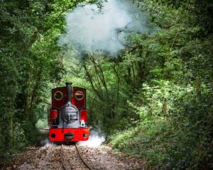 Forest of Dean Holidays
