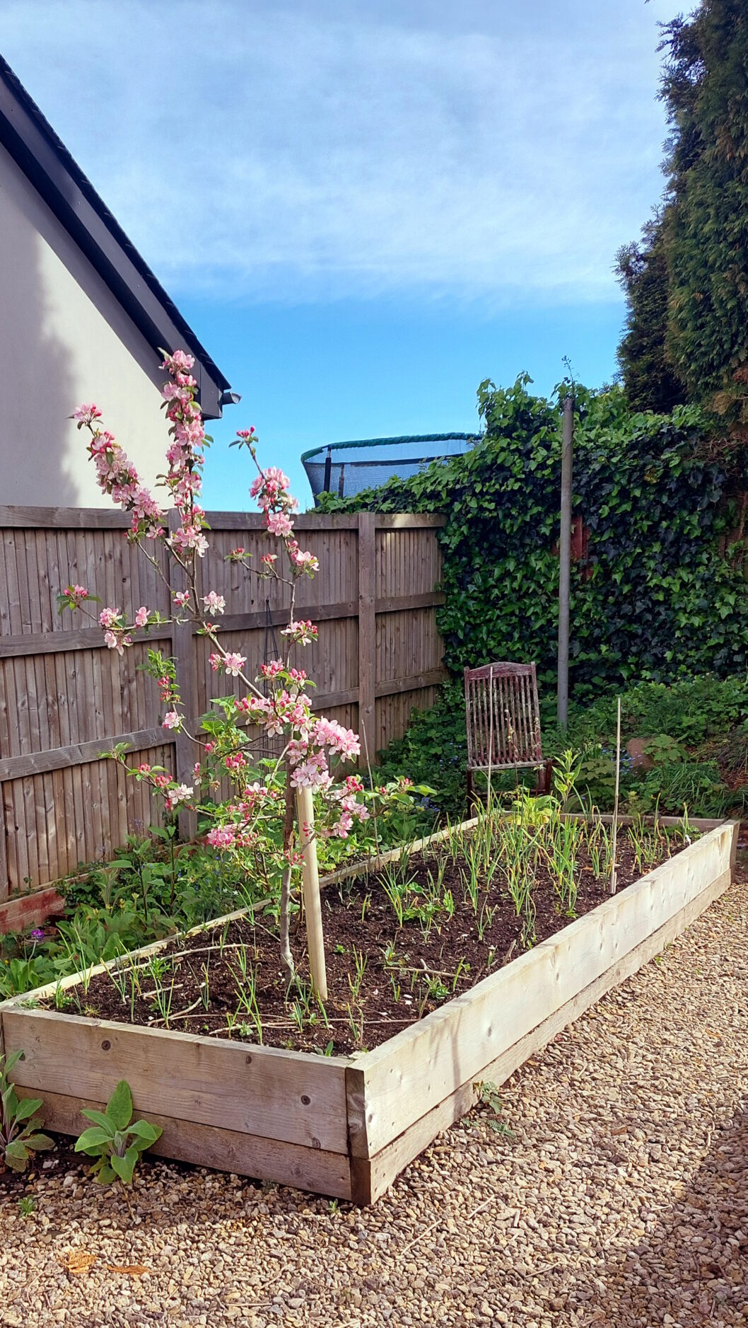 The Garden in Early May 2024