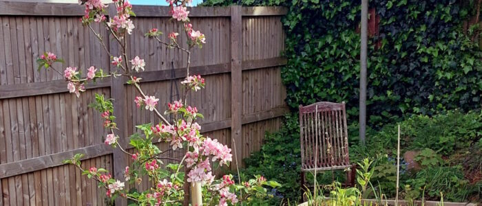 20240505_094400 The Garden in Early May 2024