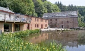 Complete Guide to Forest of Dean Events 2025